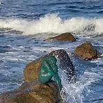Notre Paradis Kamp alanı Lumio (Corsica)