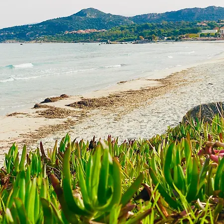 Parque de Campismo Notre Paradis Lumio (Corsica)