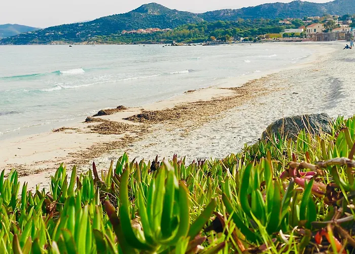 Camping Notre Paradis Lumio (Corsica)